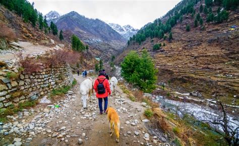 Kheerganga Trek | Kasol to Kheerganga Trek back to Kasol