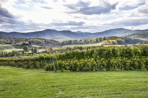 10 Best Virginia Wineries: A Day Trip from Washington D.C.