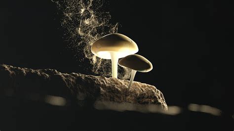 Fungi releasing spores - Finished Projects - Blender Artists Community