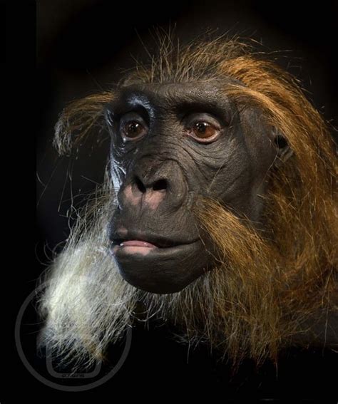 Sahelanthropus tchadensis is an extinct homininae species that is dated ...