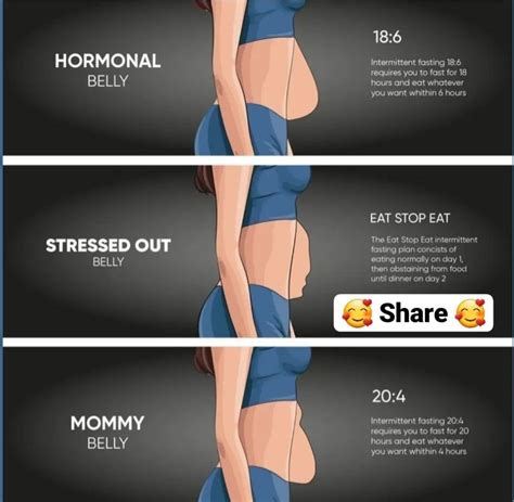 5 types 0f belly fat – Artofit