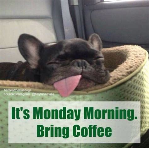 It's Monday Morning Bring Coffee Pictures, Photos, and Images for Facebook, Tumblr, Pinterest ...