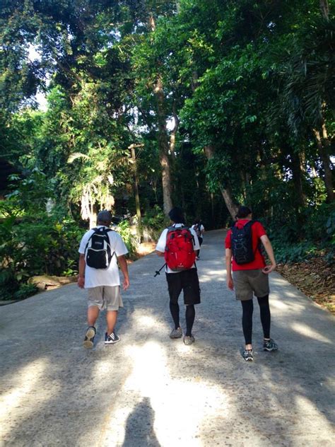 travelenravel: Mount Makiling: An Enchanting Hike To Peak 2