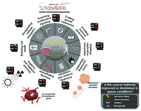 Factors involved in carcinogenesis and promotion of tumour growth ...