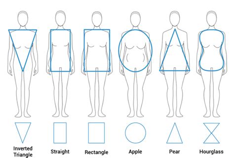 Pear Shaped Body Vs Hourglass