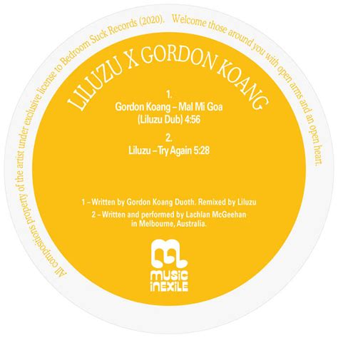 Mal mi goa (Liluzu Dub) / Try Again by Gordon Koang / Liluzu (Single ...