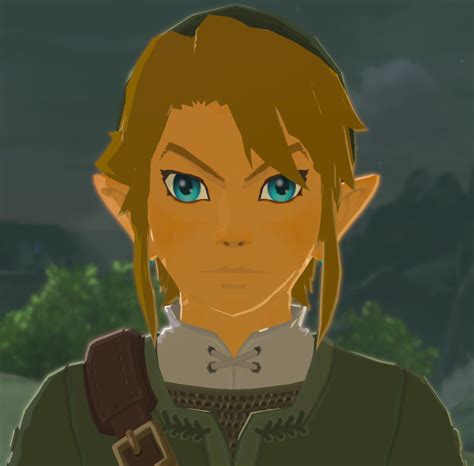 Twilight Princess Link - Face Mod [The Legend of Zelda: Breath of the Wild (WiiU)] [Mods]