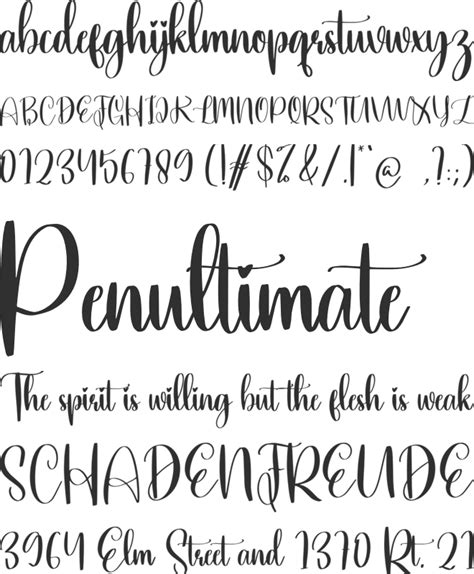 Kindle Font : Download Free for Desktop & Webfont