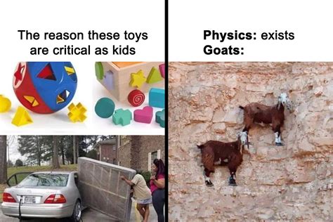 This Facebook Group Is All About “Science Humor”, Here Are 50 Of Their Most Hilarious Posts (New ...