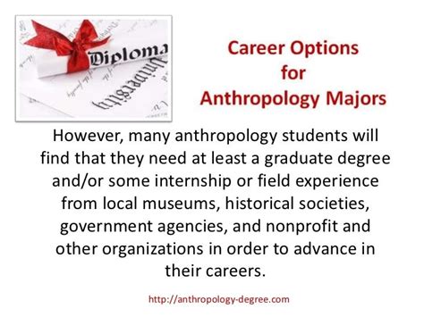 Anthropology Degree Careers