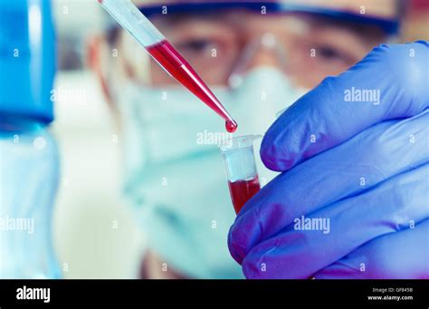 Experiment scientist in the microbiology laboratory Stock Photo - Alamy