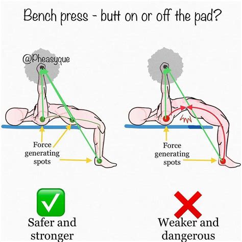 How to bench press | correctnes chest exercises