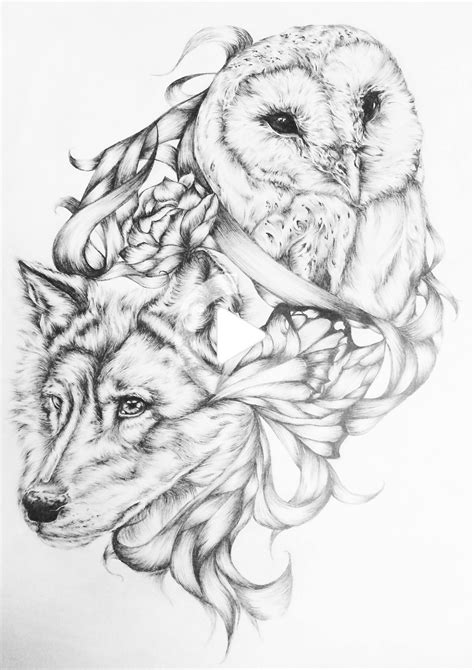 Chord Owl And Wolf - Taka Vegetable