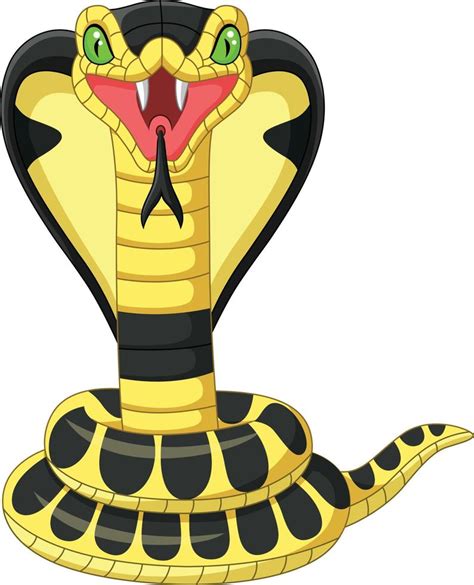 Cartoon king cobra snake mascot 7270751 Vector Art at Vecteezy