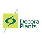 Decora Plants BVBA - FloraXchange