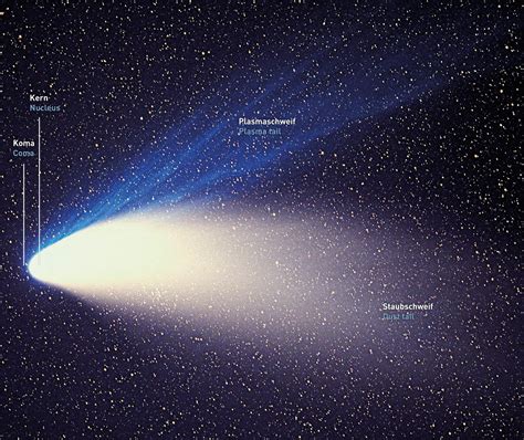 Fascinating comets