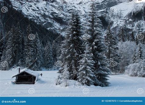 Santa`s Hut Submerged in the Snow Stock Photo - Image of aspen, colorado: 122407072