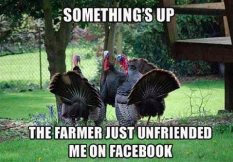 34 Funny Thanksgiving Memes - Barnorama