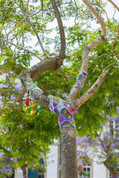 Yarn bombing in trees. European park. royalty free stock photos | Yarn bombing, Yarn bombing ...