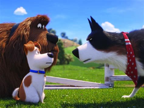 The Secret Life of Pets 2 is merely okay - Solzy at the Movies