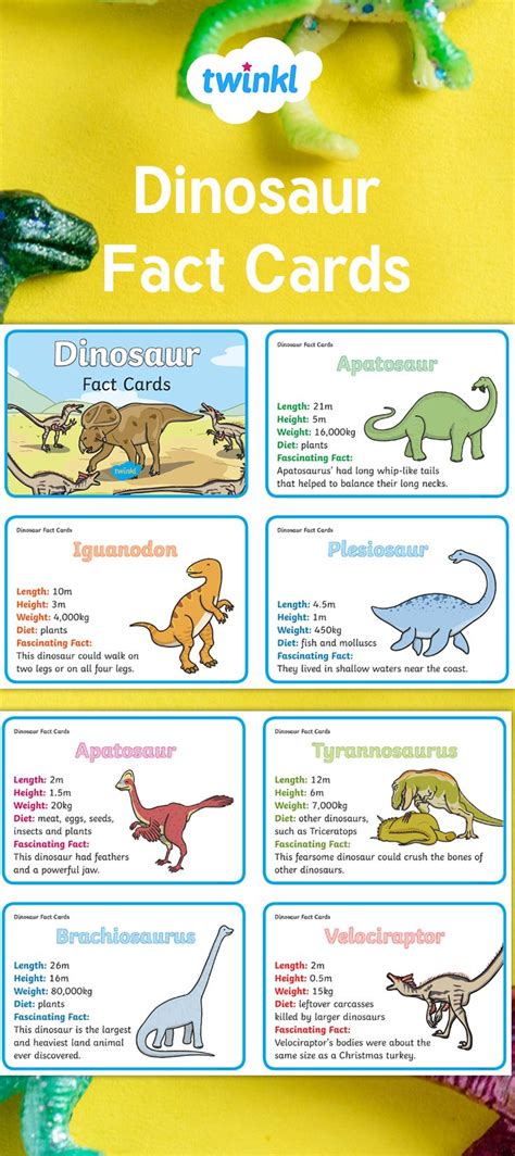 Dinosaur Fact Cards. | Dinosaur facts, Dinosaur facts for kids, Dinosaur activities preschool