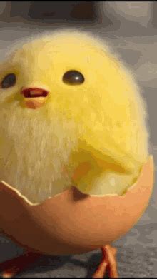 Shakipiyo Gudetama GIF - Shakipiyo Gudetama Sanrio - Discover & Share GIFs