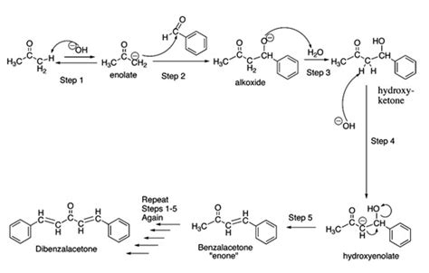 (Solved) - Reaction Mechanism of the Formation of Dibenzalacetone ...