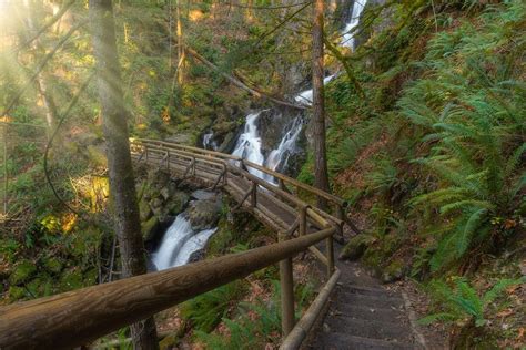 Best Hikes Near Vancouver WA: Top 8 Vancouver Trails