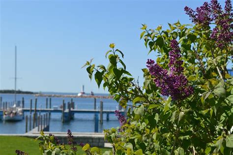 Mackinac Island Lilac Festival – June 7 – 16, 2024 - News Up North, Michigan