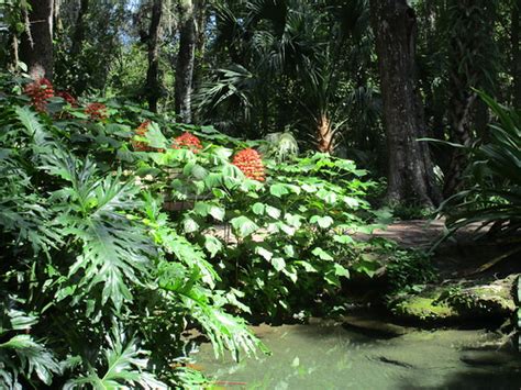 Rainbow Springs State Park Camping