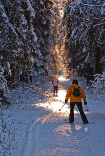 Top 10 Winter Experiences at Voyageurs National Park - Crane Lake MN ...