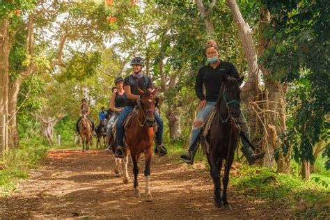 Carabalí Rainforest Park: Rainforest Horseback Riding Tour in Puerto Rico