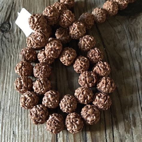 Rudraksha Hindu Prayer Beads Nut Beads Jumbo Super Cool