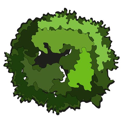 Tree Aerial View Png Top View Trees Png Tree Vector Top View Png | Porn Sex Picture