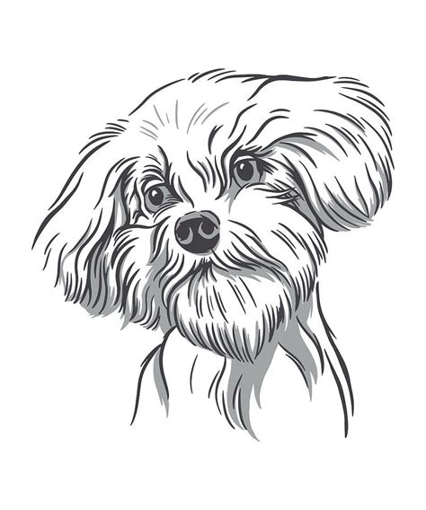 Cool Doodle Dog drawing typical look head position Digital Art by Norman W - Fine Art America