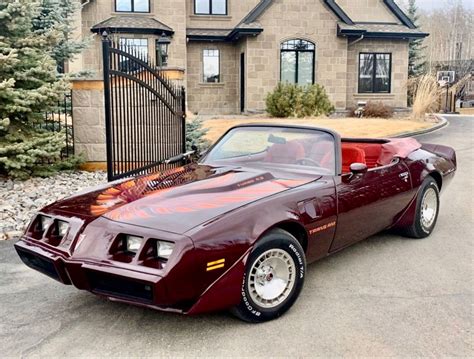 1980 Pontiac Firebird Turbo Trans Am Convertible by National Coach ...