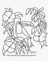 Coloring Pages For Kids By Mr Adron Free Printable Toucan  sketch template