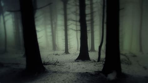 Creepy Fog Wallpapers - Top Free Creepy Fog Backgrounds - WallpaperAccess