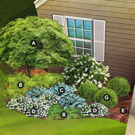 shade garden plan for south region featuring Japanese maple, mahonia, hosta, New Guinea ...