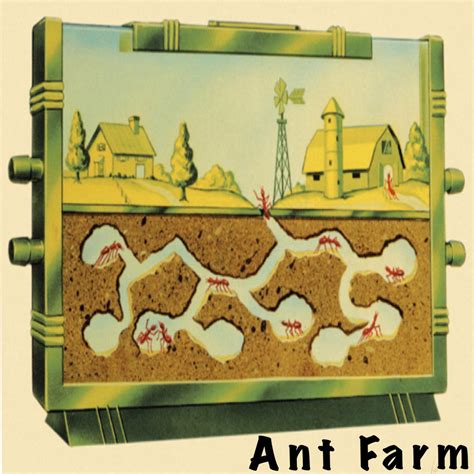 Ant Farm (podcast) - The Ant Hill | Listen Notes