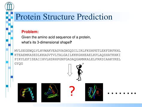 PPT - Computational Methods for Protein Structure Prediction PowerPoint Presentation - ID:3568005