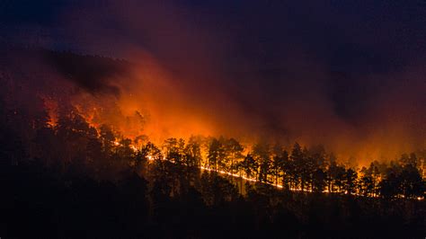 By Mid-July, Siberian Fires Had Destroyed Nearly As Much Forest As Global Losses For All Of 2019 ...