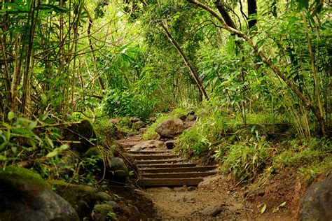 Amazing Secret Jungle Hike in Honolulu, Hawaii | Try Something Fun