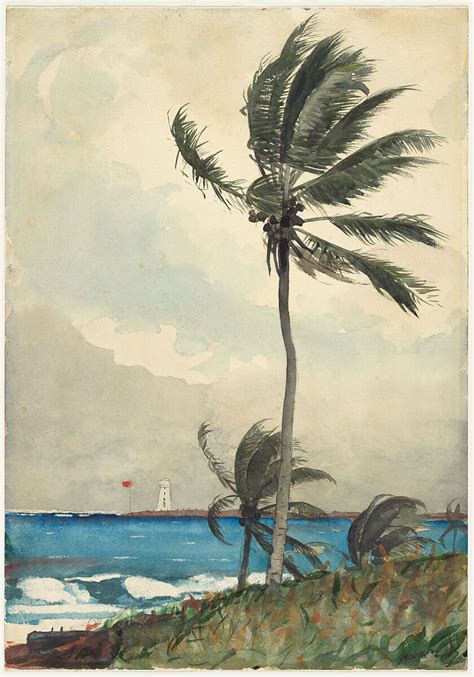 Winslow Homer | Palm Tree, Nassau | American | The Metropolitan Museum of Art