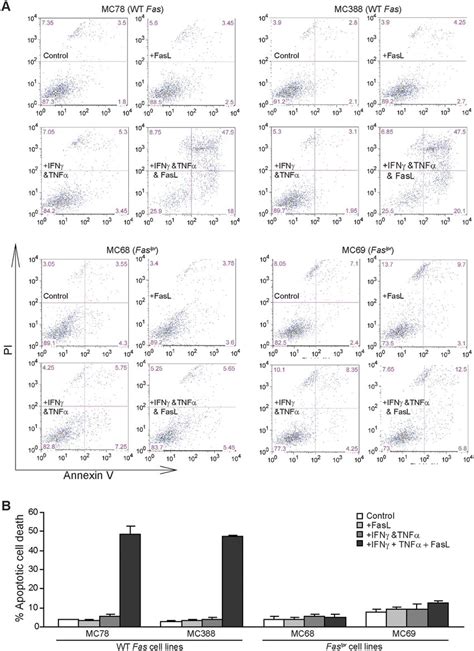 Fas receptor is essential for FasL-induced apoptosis. (A) Tumor cells ...