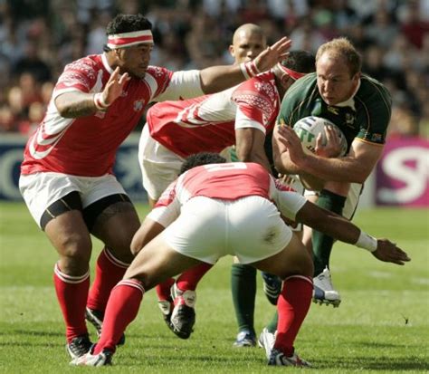 South Africa v Tonga predictions: Will the Springboks bounce back?