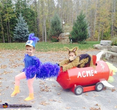 Road Runner and Wile E. Coyote Kids Costume