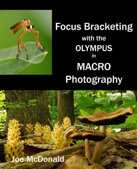 Using Focus Bracketing with the Olympus in Macro Photography