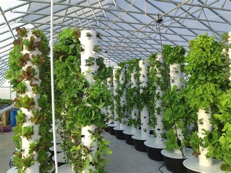 Tower Farms | Tower Garden | Aeroponic Farm | Vertical Farm | Agrotonomy