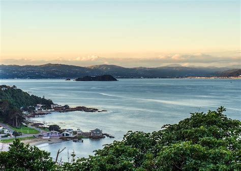 Premium Photo | Wellington harbour view with evening shot with the late sun on the eastern hills